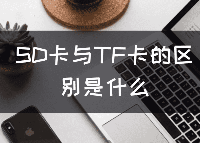 如何选择适合Switch的内存卡2024年闪迪三星铠侠金士顿雷克沙适配Switch内存卡推荐
