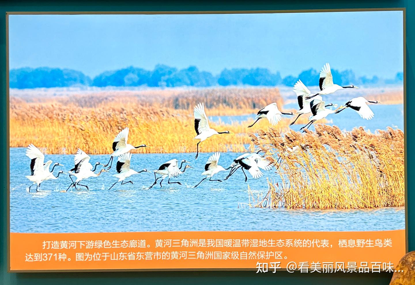 每个人都渴望被信任,然而每个人都经历过信任危机——当自己不被信任时气恼,当别人辜负自己的信任时同样气恼。 - 知乎