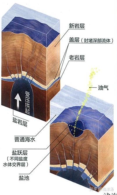 深海里的盐卤池是如何形成的?