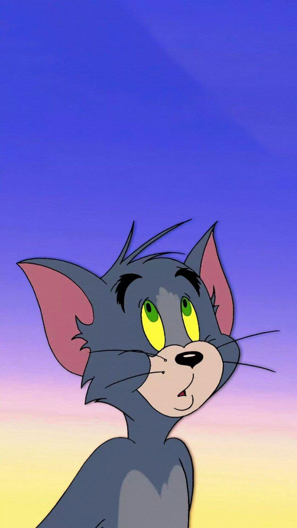 有没有有关猫和老鼠的壁纸? - 知乎