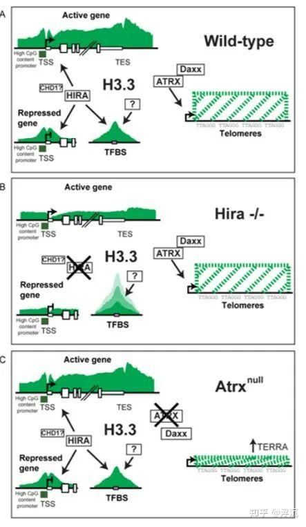 投稿 | Cell Press：4个案例教会你制作图形摘要！ - 知乎