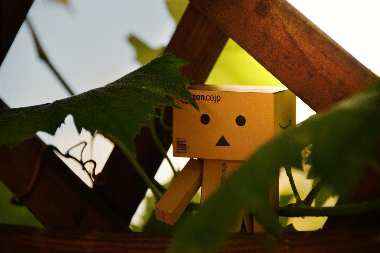 3. 根深叶茂之谜