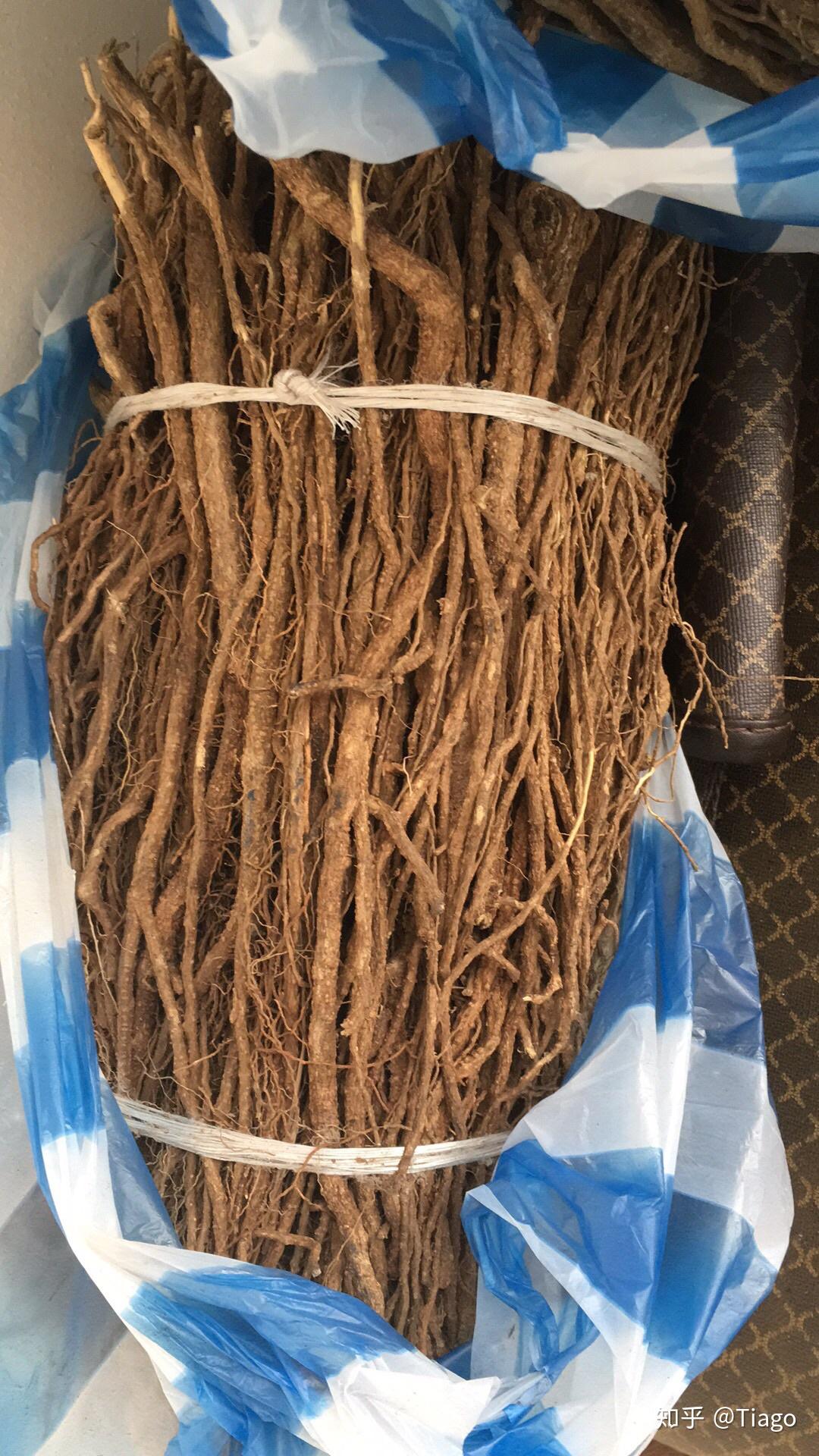 安哥拉树根到底是个什么东西,真的有那么神奇吗?