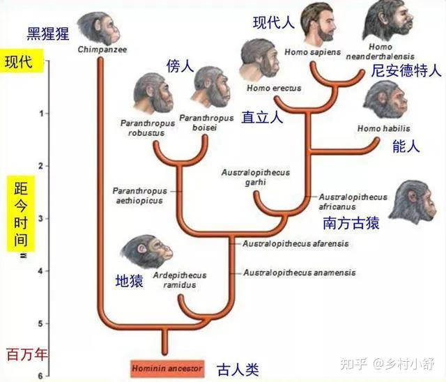 人类是不是和所有生物之间都有生殖隔离?这意味着什么? - 知乎