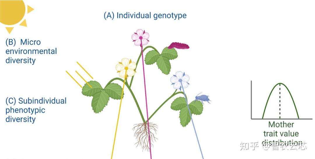 Trends in Plant Science | 植物的表型、表观遗传和适应多样性 - 知乎