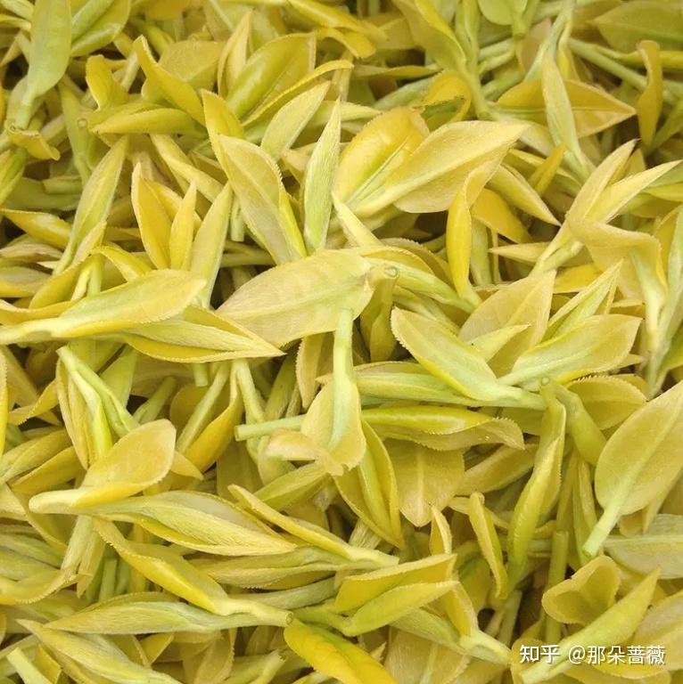 茶——中国六大茶类知识(收藏版)黄茶 - 知乎