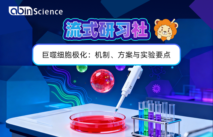 巨噬细胞功能与检测技术丨巨噬细胞极化:机制、方案与实验要点 - 知乎
