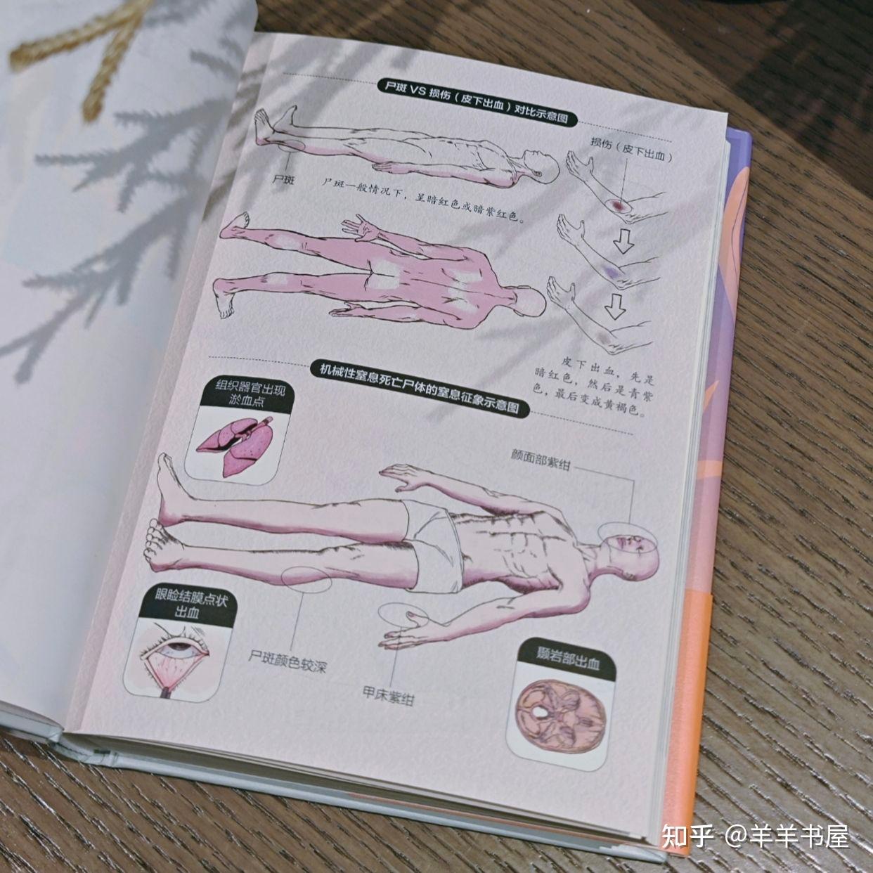 法医秦明，用一本书把法医学讲得明明白白～ - 知乎