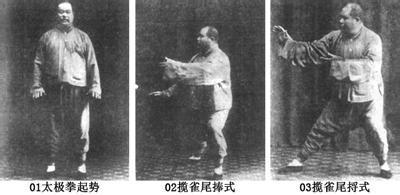 内动体认法系列之一：起势—收势 - 知乎
