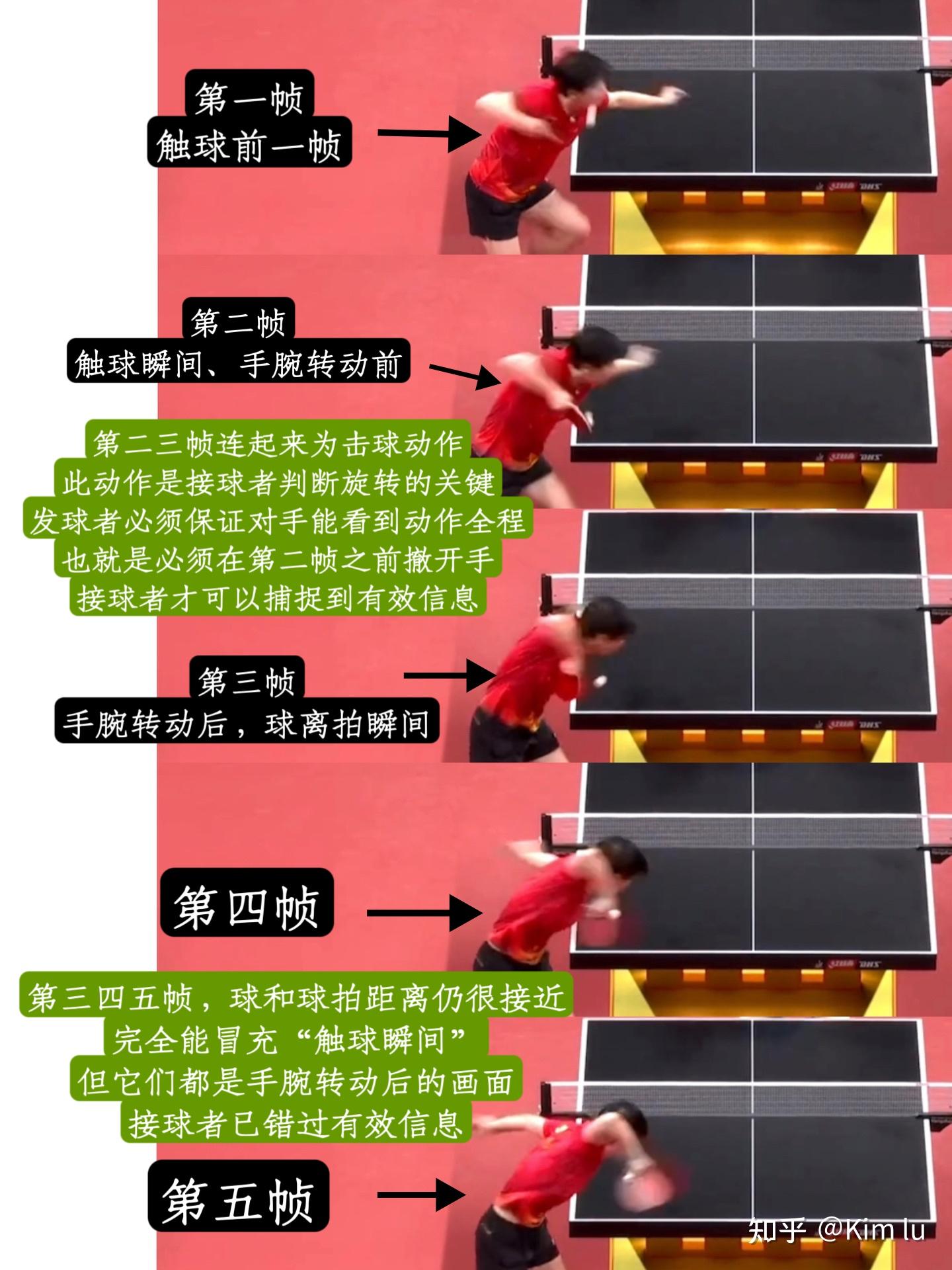 孙颖莎发球遮挡了吗