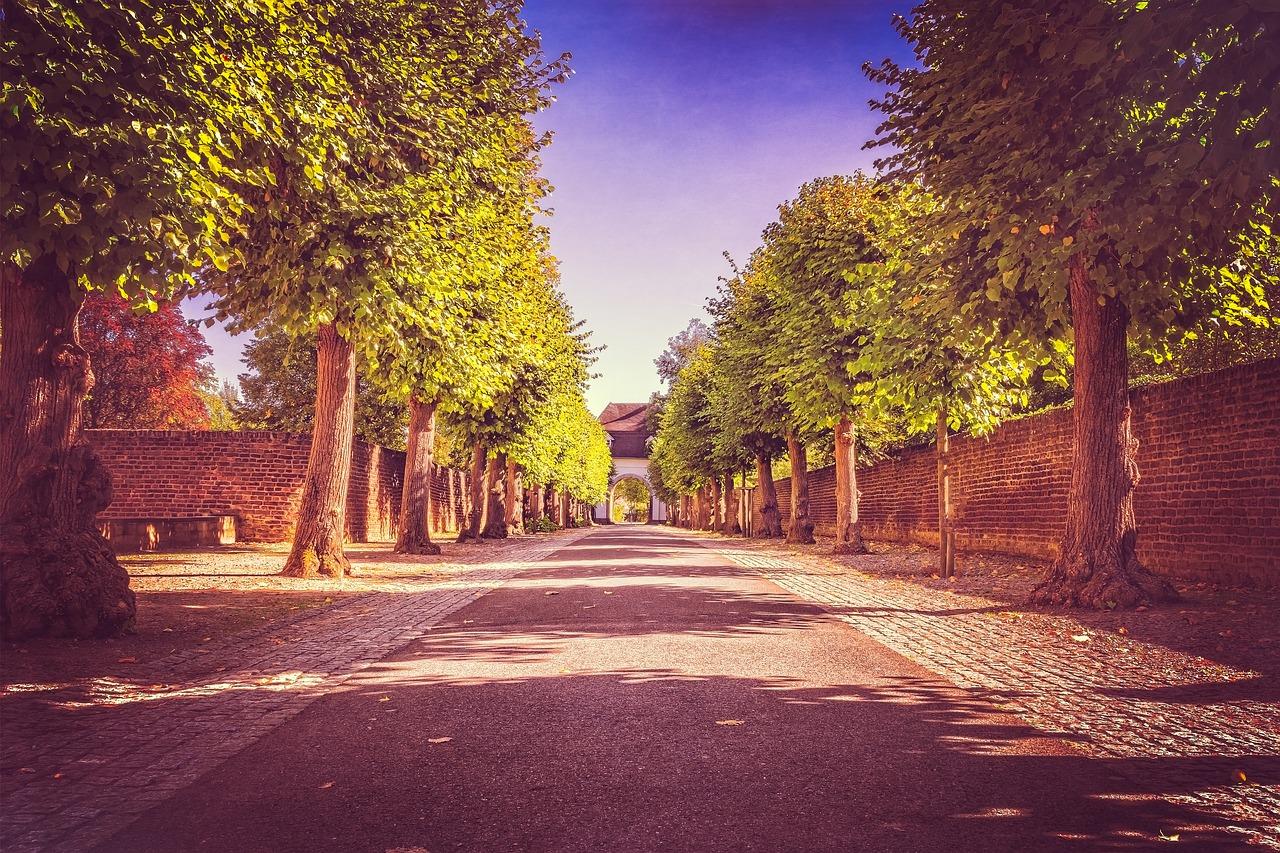 地段升值潜力大