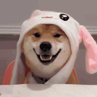 414_414gif 动态图 动图