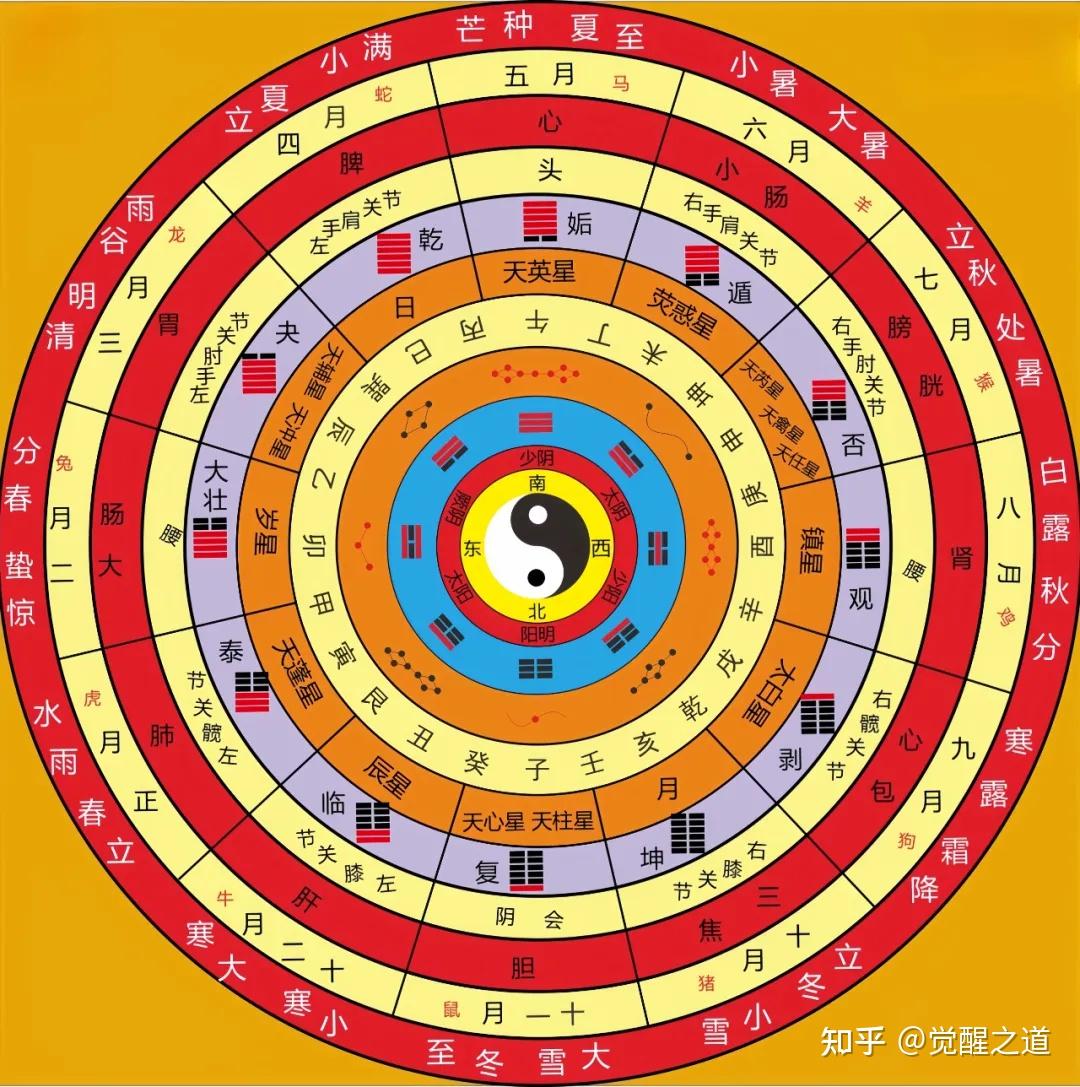 命理学:干支、地支的五行属性,天干与人体部位的神秘对应关系! - 知乎