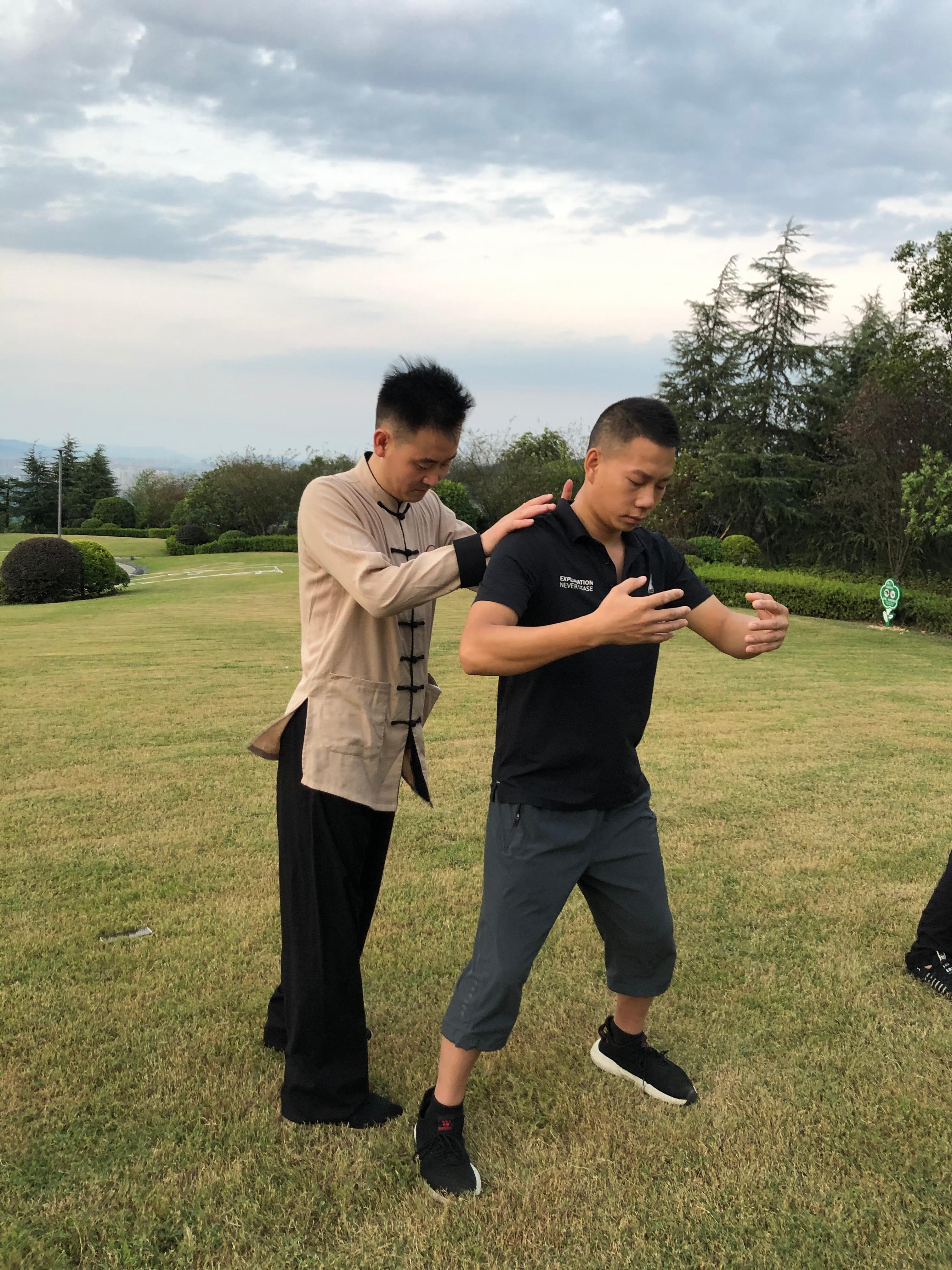武术基本功桩功,武术桩功练法 - 知乎