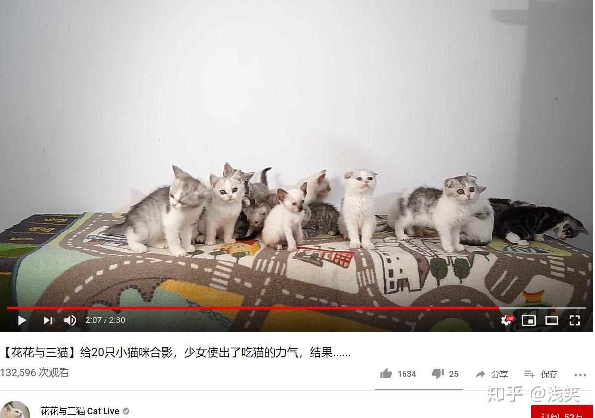 如何看待b站up主花花与三猫catlive被质疑知后院买后院