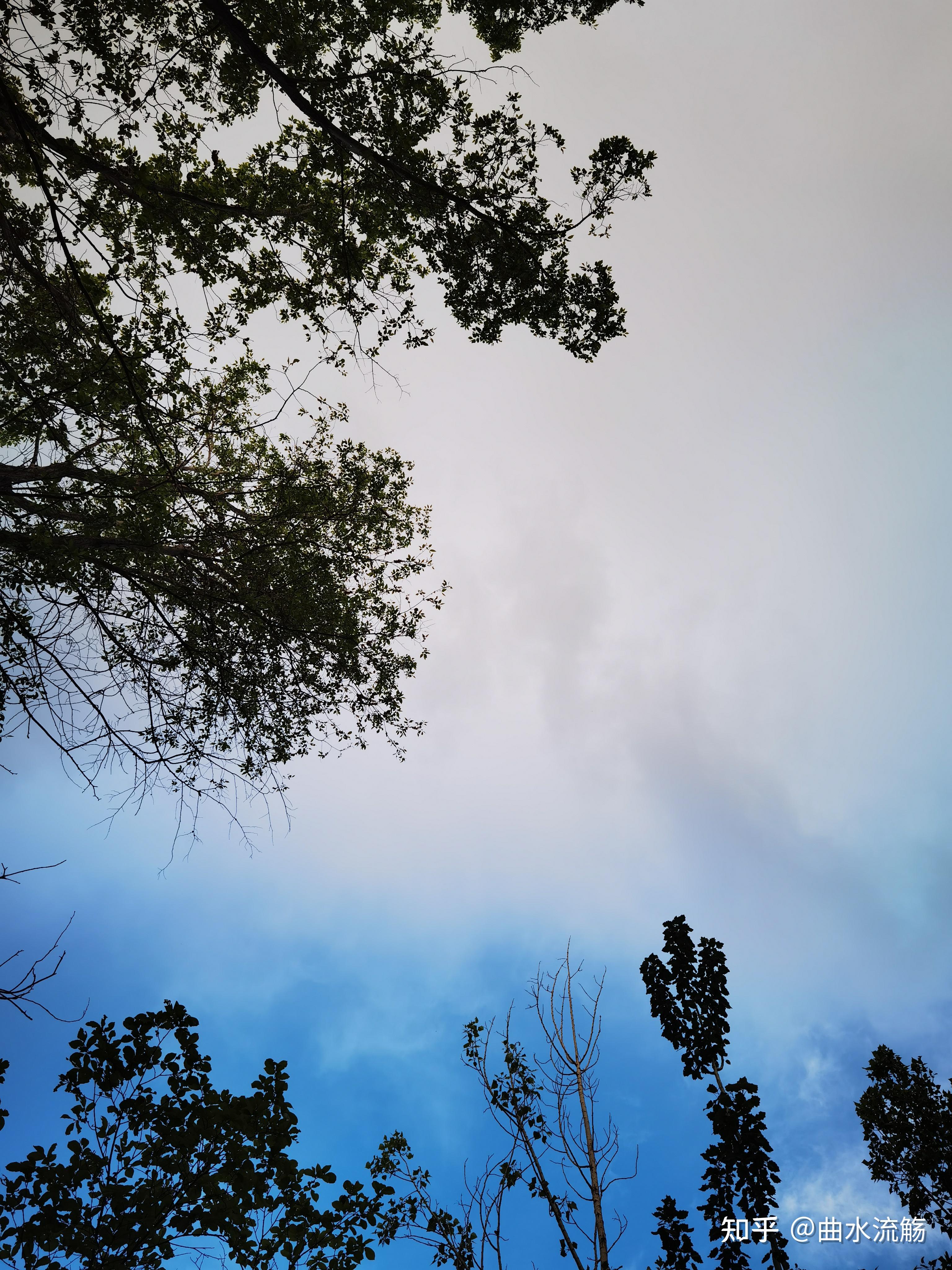 大家有什么真实好看的天空照片吗