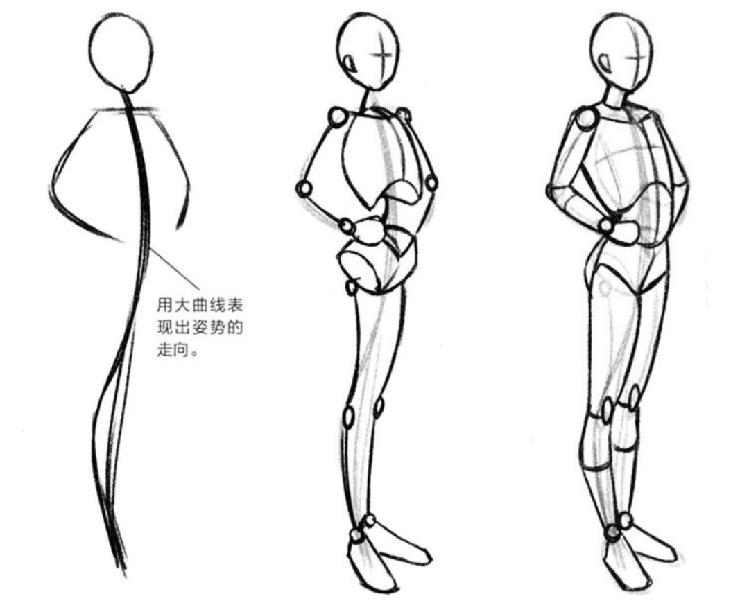 画人体应该怎么打基础? - 知乎