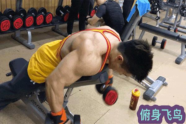 俯身哑铃侧平举怎么做效果更佳？ - 知乎