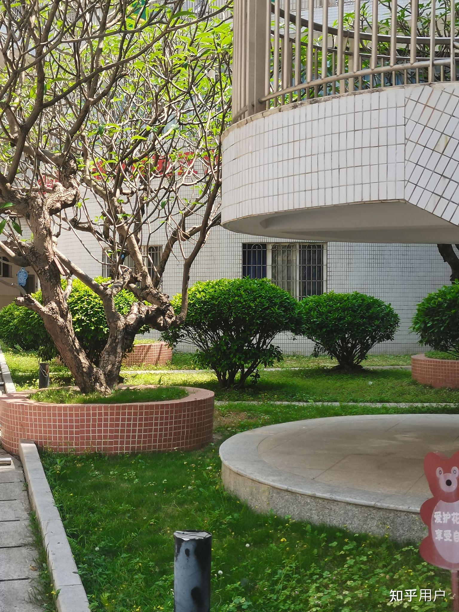 广州白云桃园中学怎样