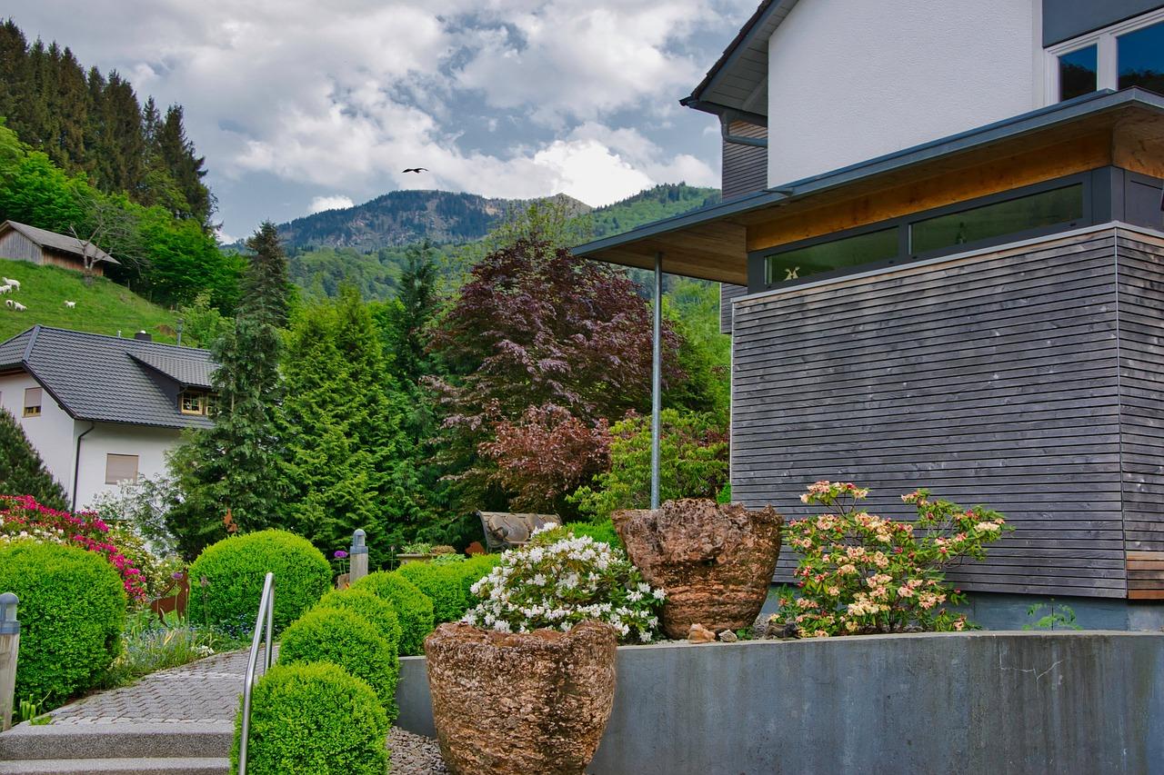 农村宅院栽什么树好