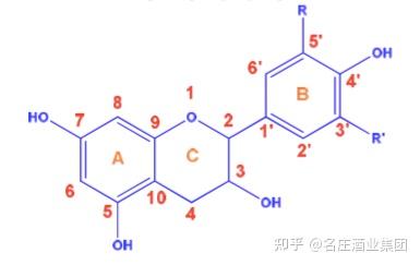 入门级!关于葡萄酒单宁,你想知道的都在这了 - 知乎