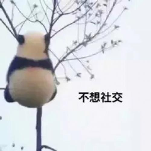 长时间几乎零社交，什么事情都是一个人，会不会心里出现问题？