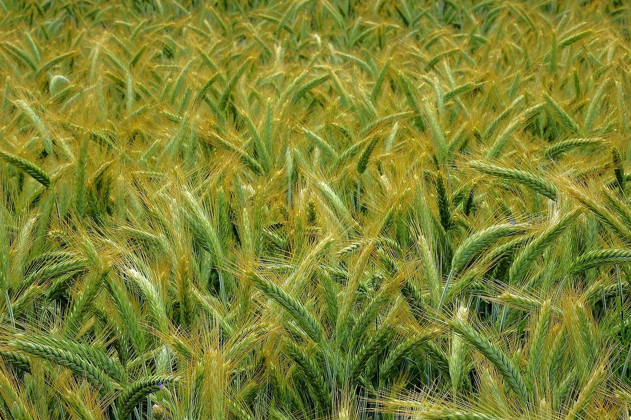 5. 售后服务保障