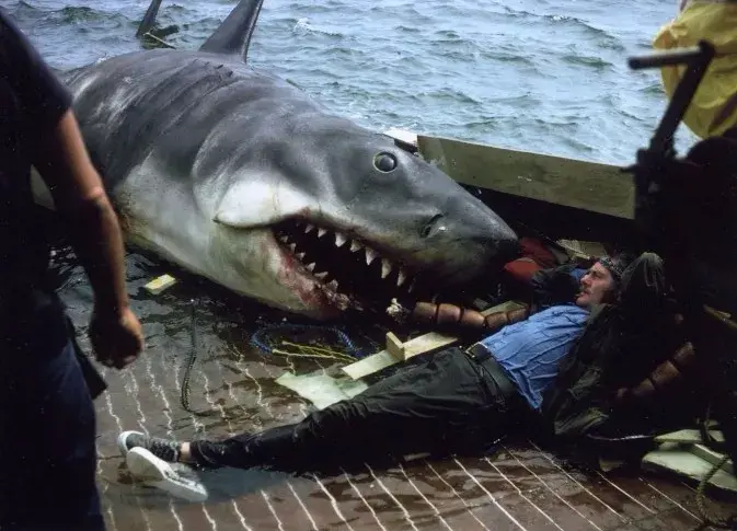 除了大白鲨和鲨滩还有什么关于鲨鱼的好看的电影推荐推荐吗