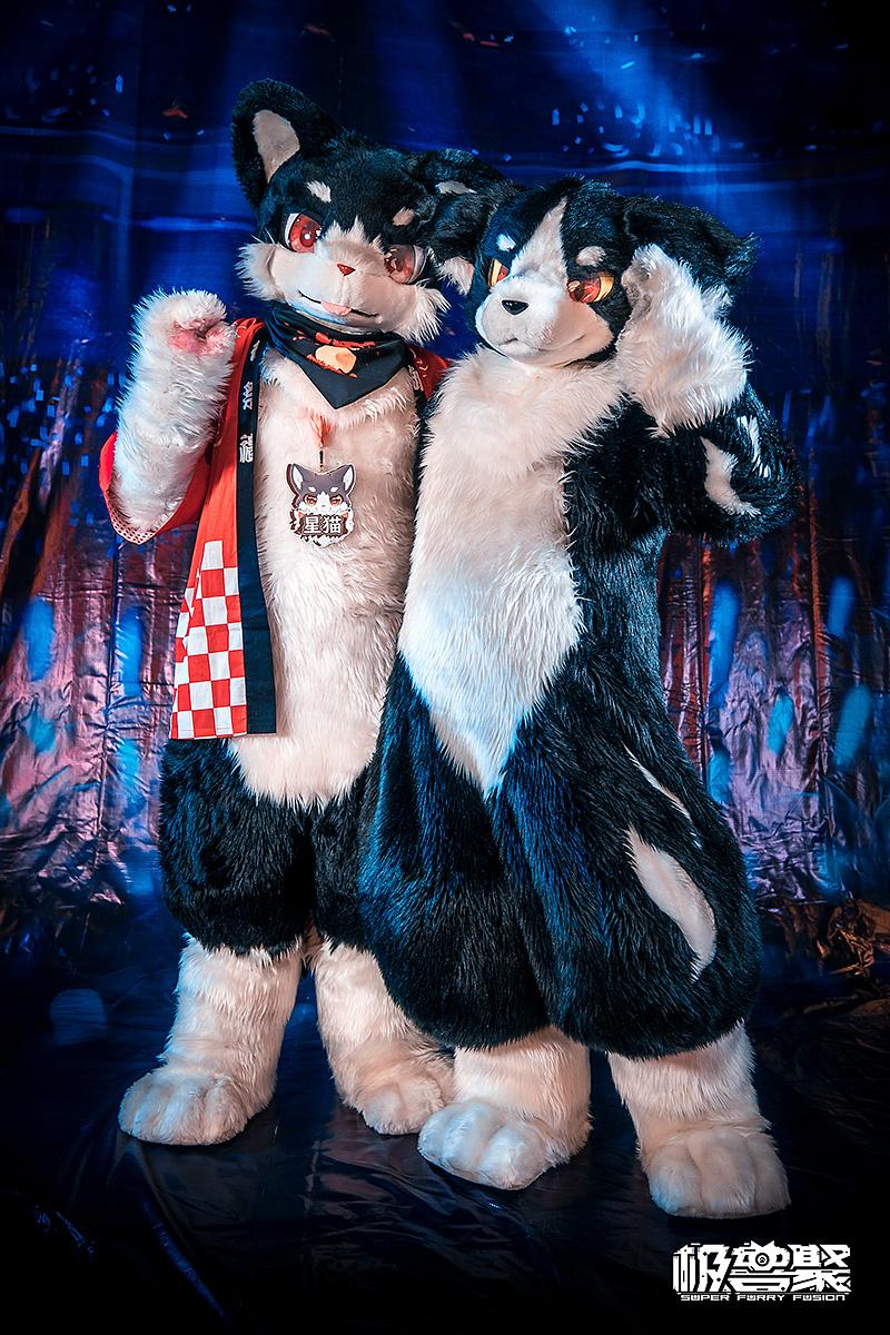 上海729极兽聚都有哪些兽