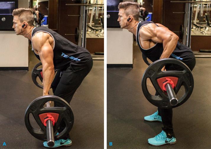 如何标准的完成杠铃划船和单臂哑铃划船