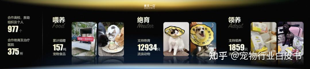 下一个五年,诚实一口的“野心”非同小可 - 知乎