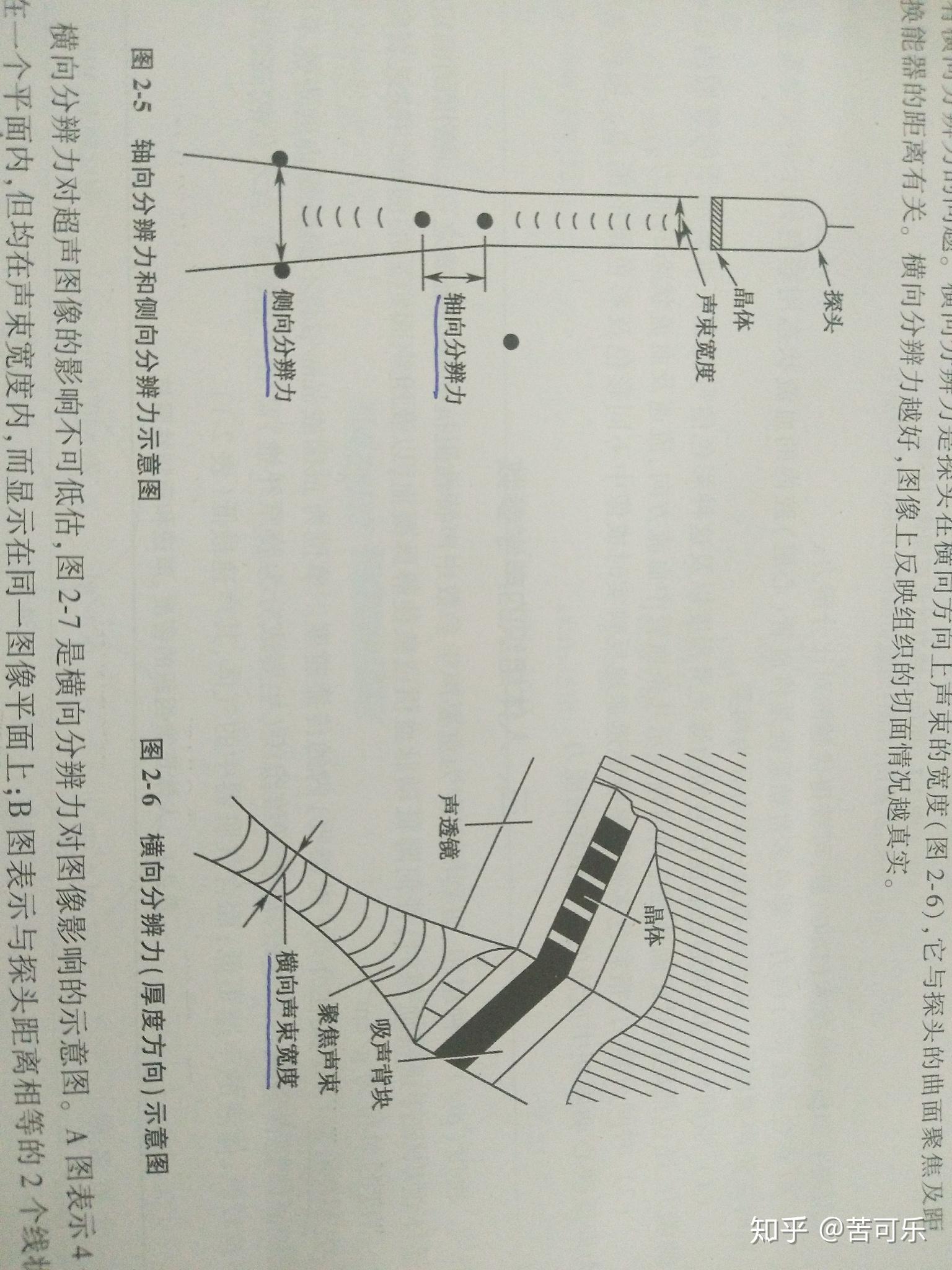 横向纵向轴向的图解图片