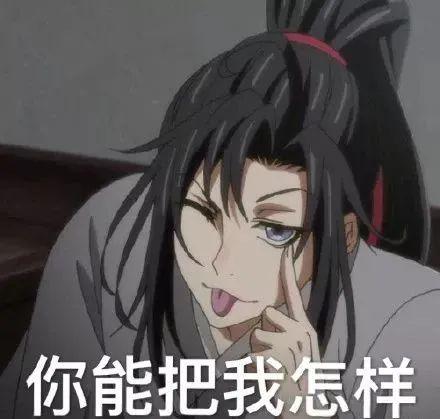 有没有优秀的魔道祖师表情包?