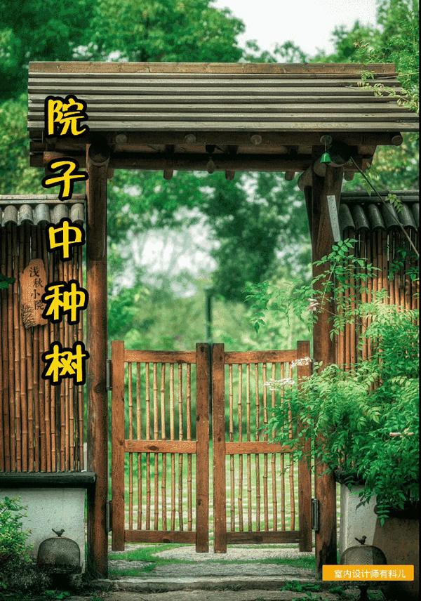 别不信，有个院子就要种这6种树，还有几种不能种 - 知乎