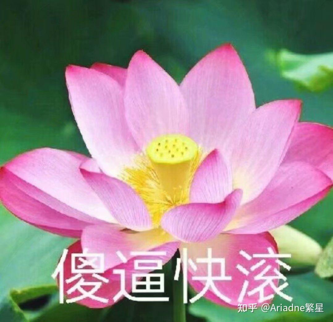 防弹少年团的日专新歌filmout听完让你有什么感觉