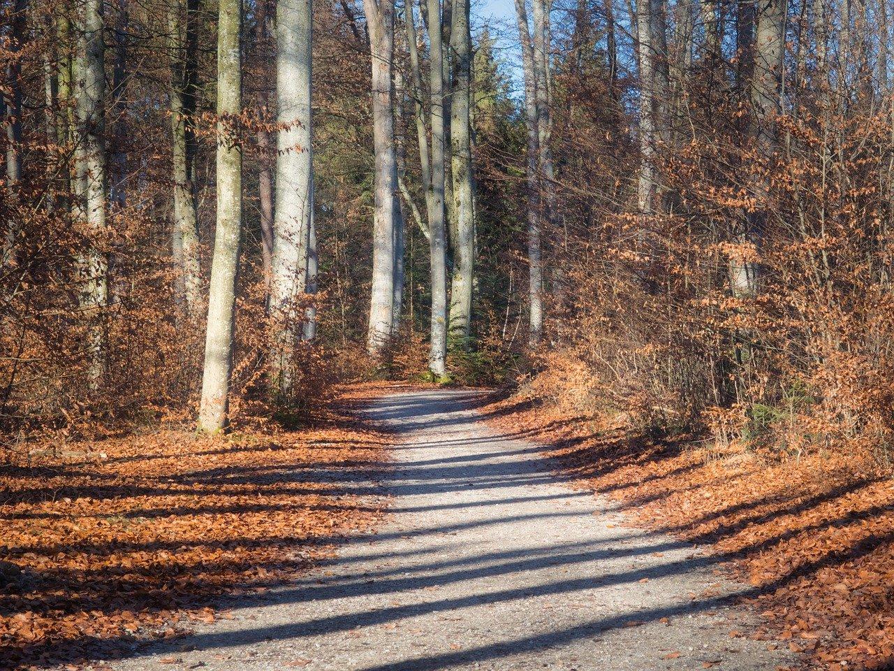 3. 交通出行便利性