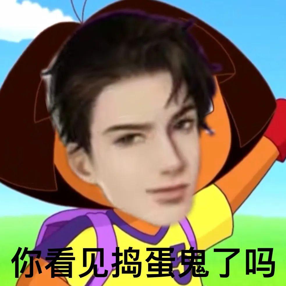求简隋英表情包