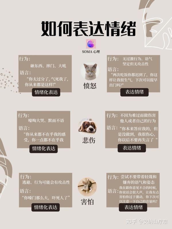 🍀高情商必备|如何表达情绪⁉️vs 情绪化表达 - 知乎