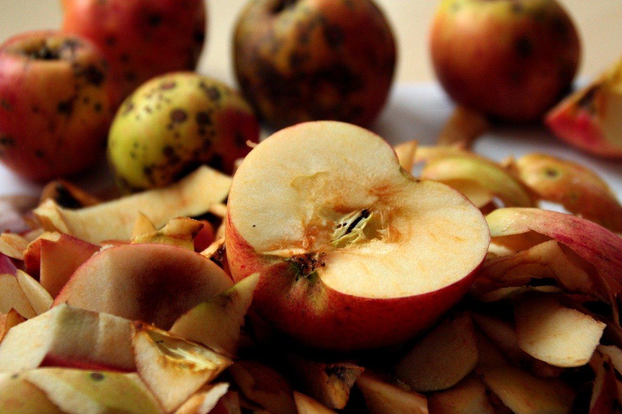 4. 果皮堆肥技巧