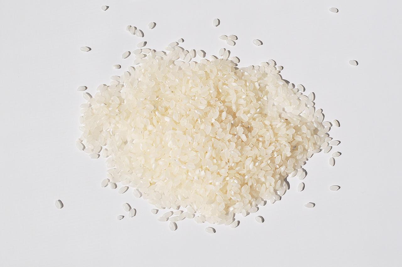 生米租房多少钱