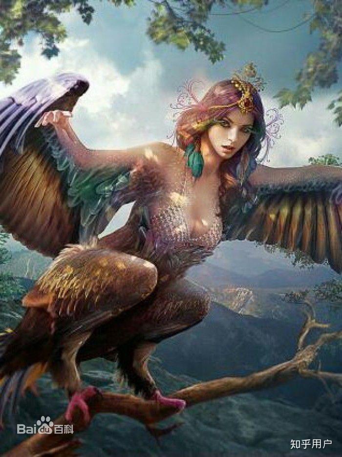 海神为什么是人面鸟身的?有什么含义吗? - 知乎