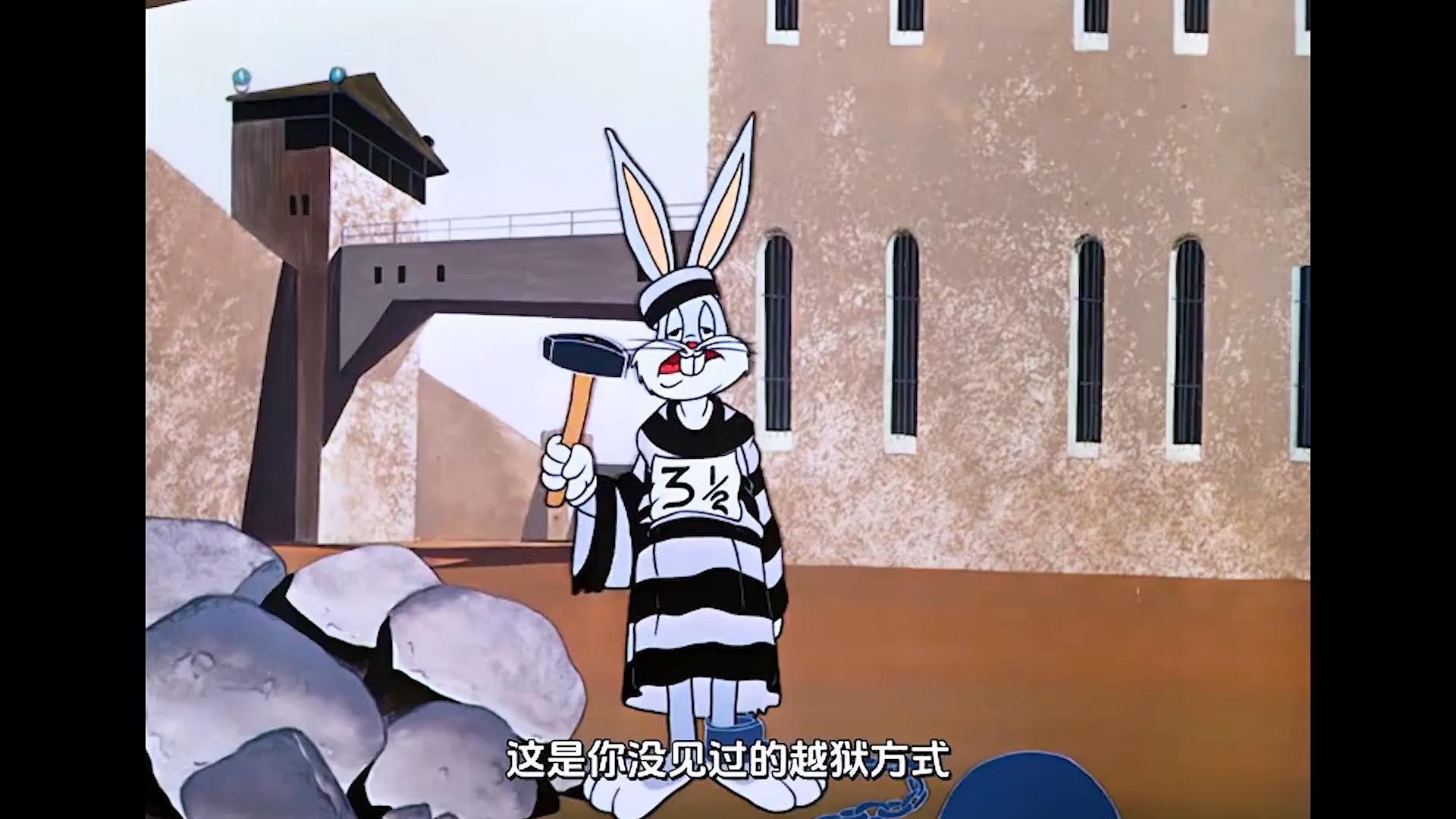 经典动画越狱兔与红胡子