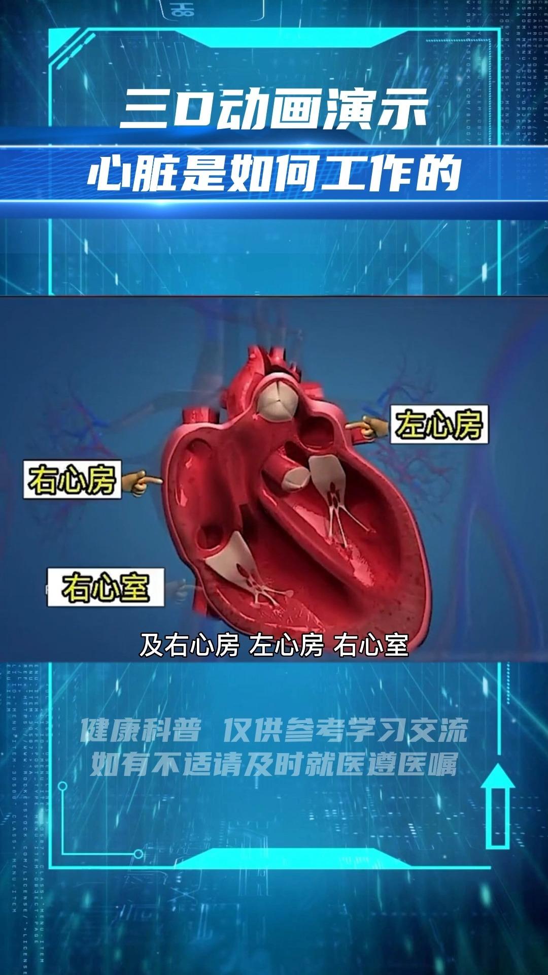 心脏是如何工作的？3D动画直观演示 - 知乎