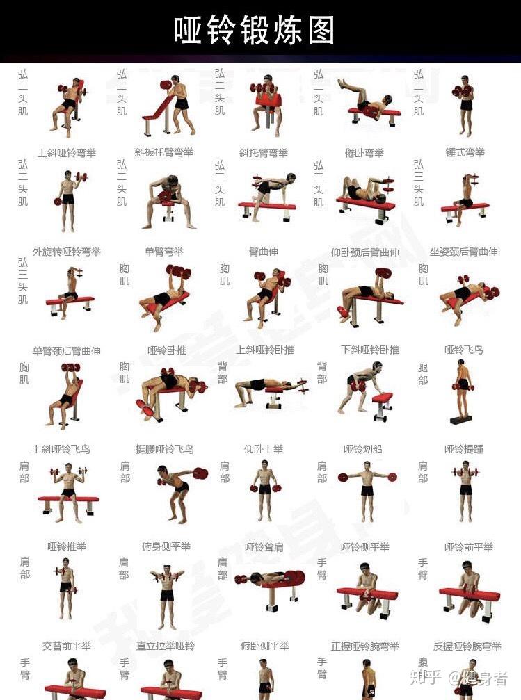 749_1007竖版 竖屏