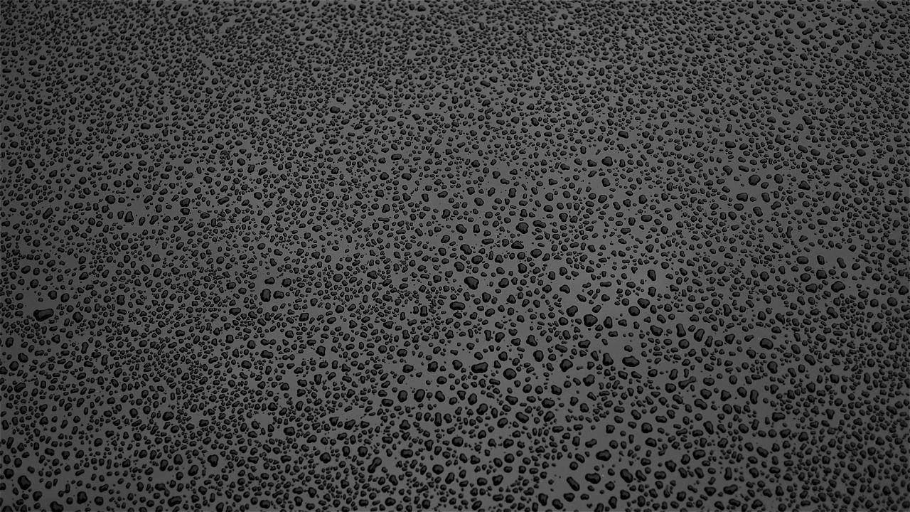 4. 湿货营养价值