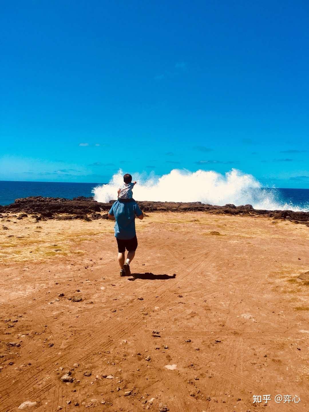 去过毛里求斯后你最大的感受是什么?