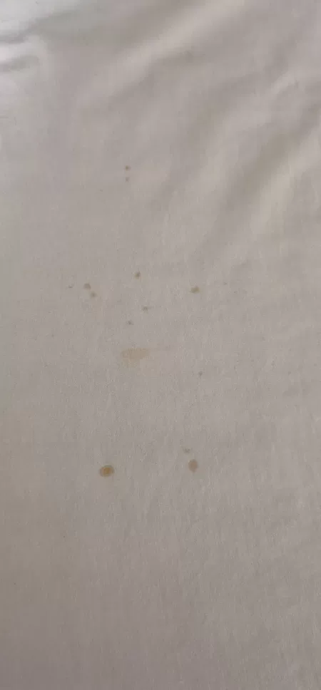 过年聚餐衣服上出现油渍的时候应该如何快速去除 - 知乎