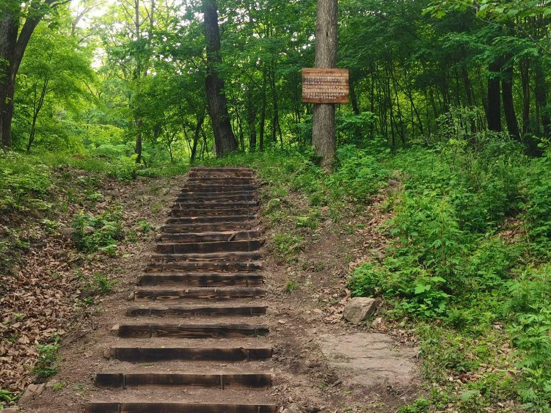 考古遗址保护展示