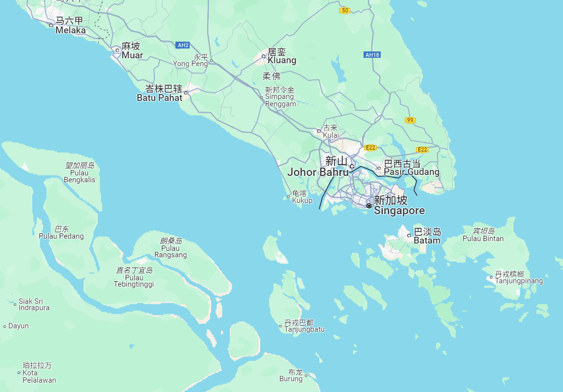 新加坡为什么能成为发达国家(新加坡为什么能发展起来)