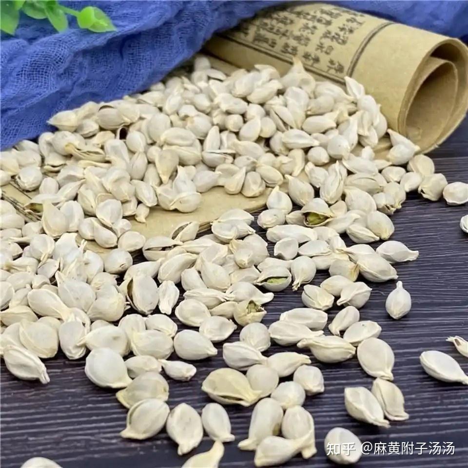 橘核丸临症应用 - 知乎